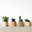 Set van 4 geometrische bloempotjes