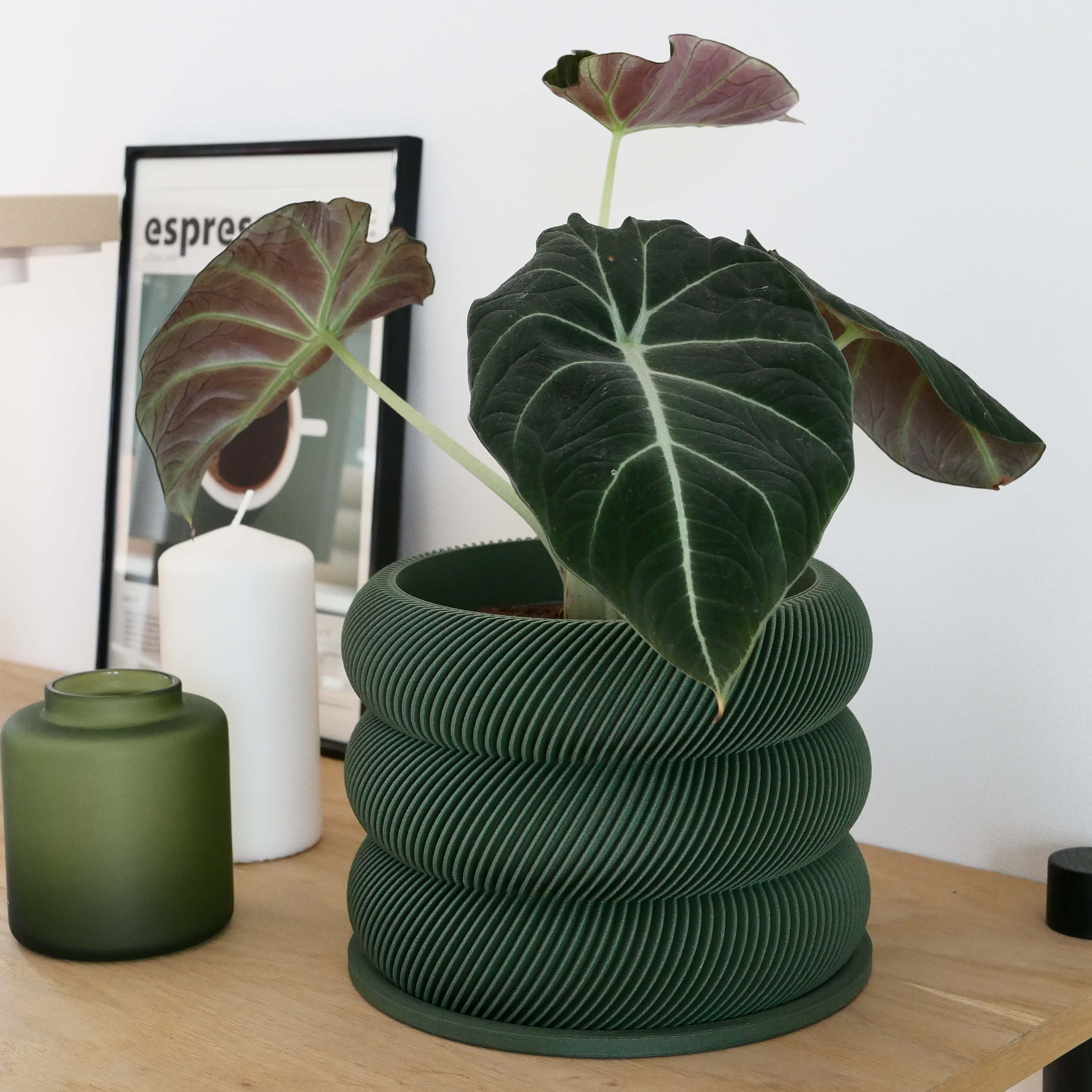 Design houten plantenpot voor binnen 'Bubbles'