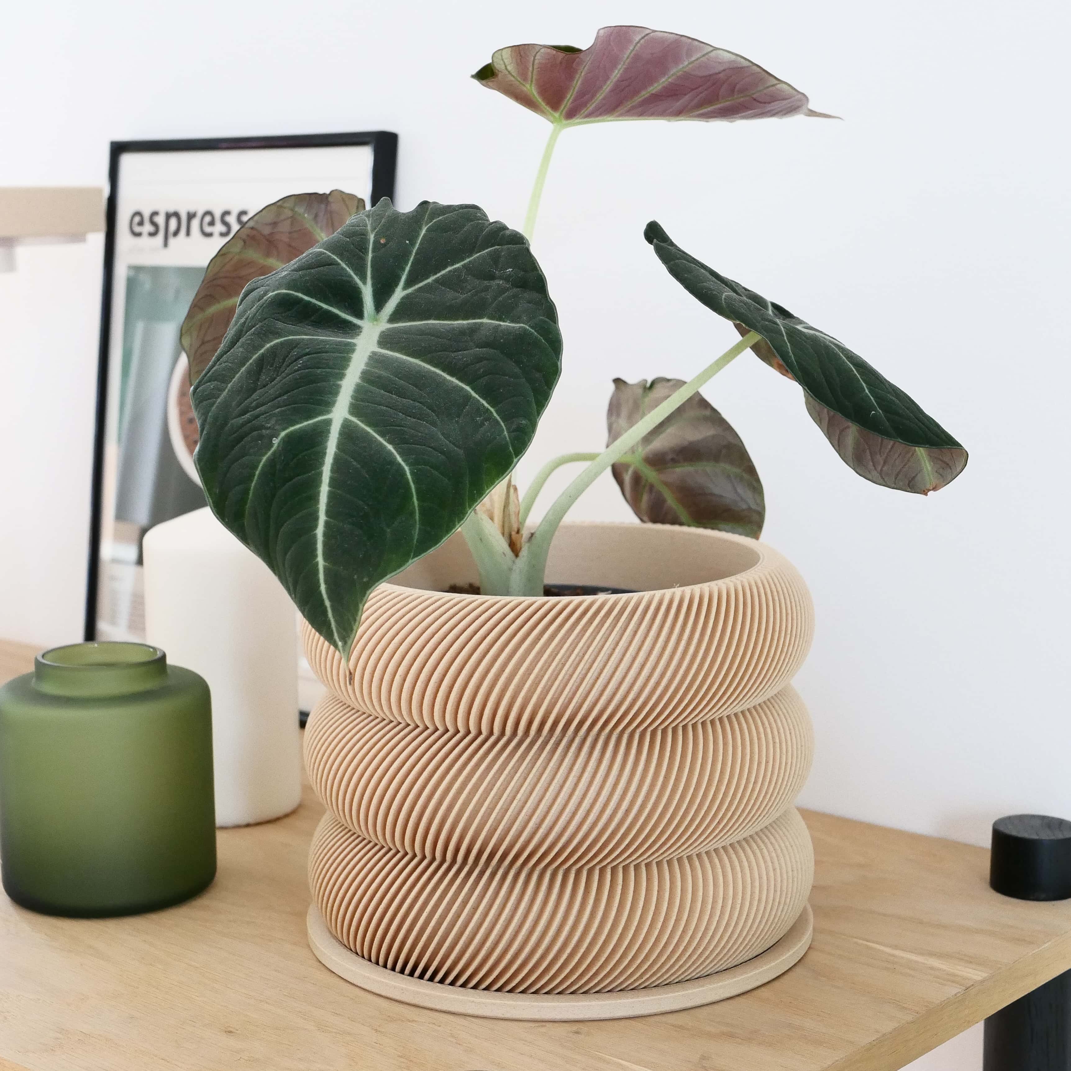 Textuur houten plantenpot - BUBBLES: Natuurlijk 15 cm • 6 inch Hoofdafbeelding