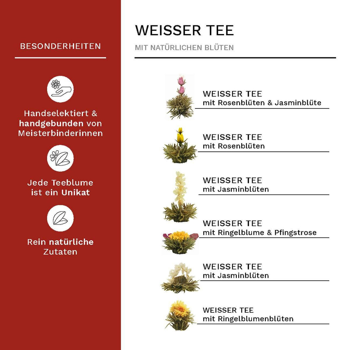 Theebloemen Witte Thee Creano (6 stuks) in Magnetische Geschenkdoos