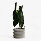 Design houten plantenpot voor binnen 'Bubbles'