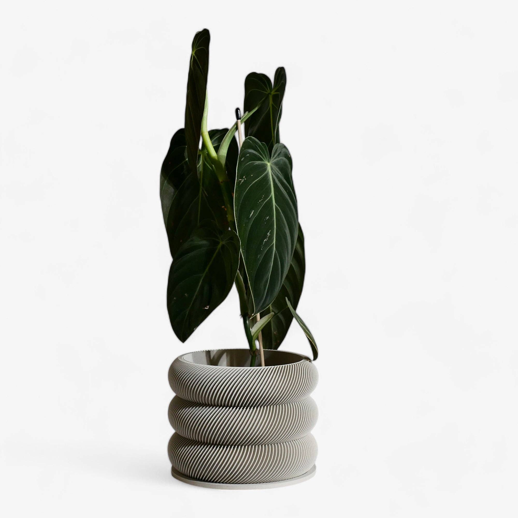 Design houten plantenpot voor binnen 'Bubbles'