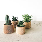 Set van 4 geometrische bloempotjes