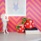 Housevitamin bloempot met strikken rood roze met plant