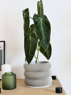 Design houten plantenpot voor binnen 'Bubbles'