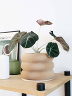 Design houten plantenpot voor binnen 'Bubbles'