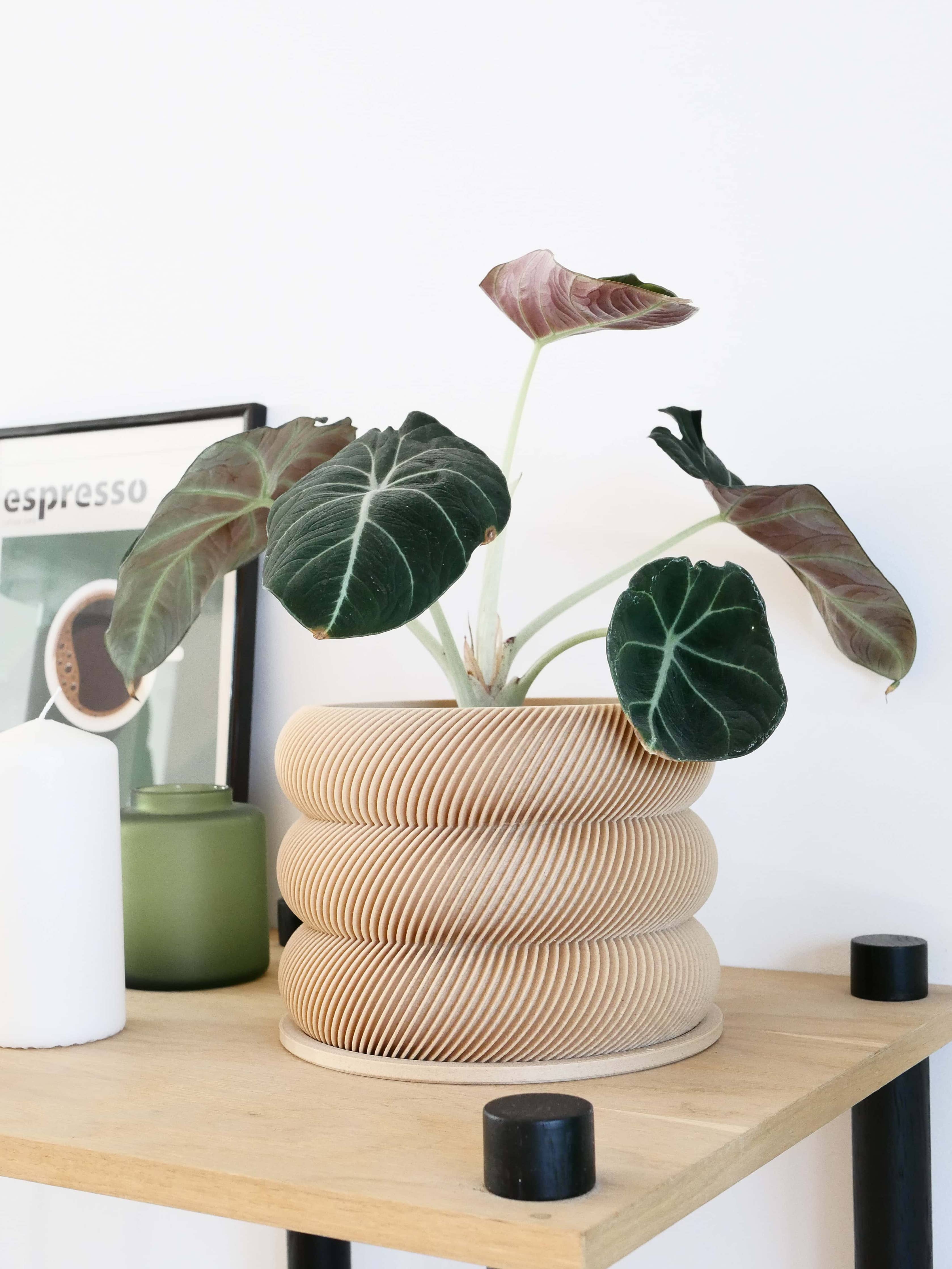 Design houten plantenpot voor binnen 'Bubbles'