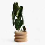 Design houten plantenpot voor binnen 'Bubbles'