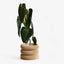 Design Plantenpot voor Binnen Bubbles
