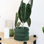 Design houten plantenpot voor binnen 'Bubbles'