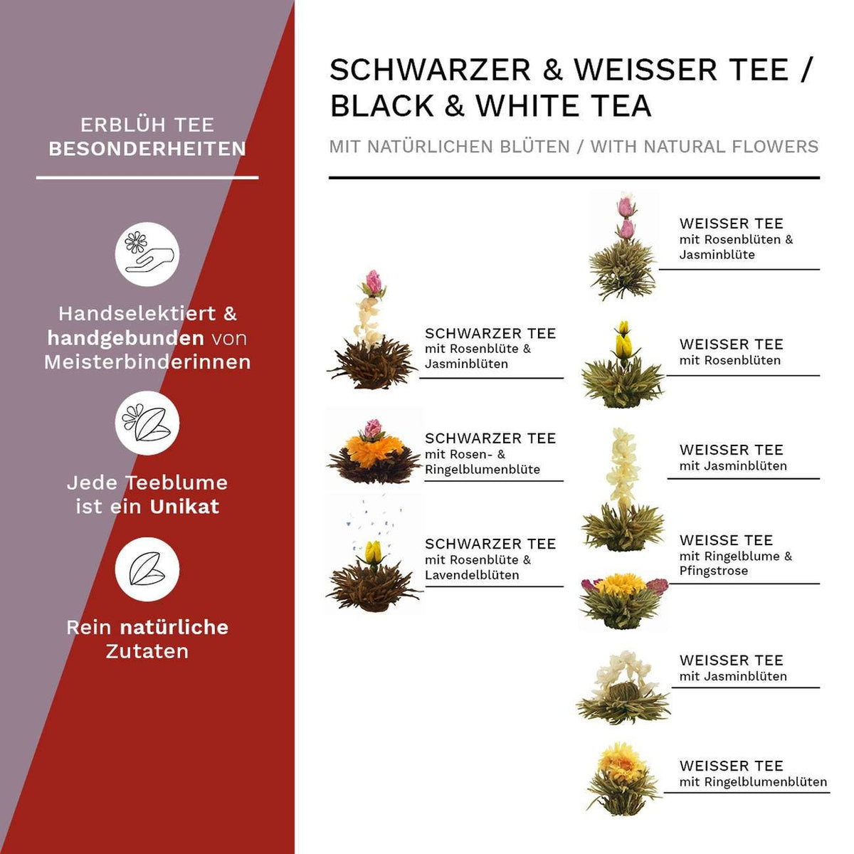 Theebloemen Geschenkset Creano in Houten Theedoos (12 stuks)