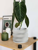 Design houten plantenpot voor binnen 'Bubbles'
