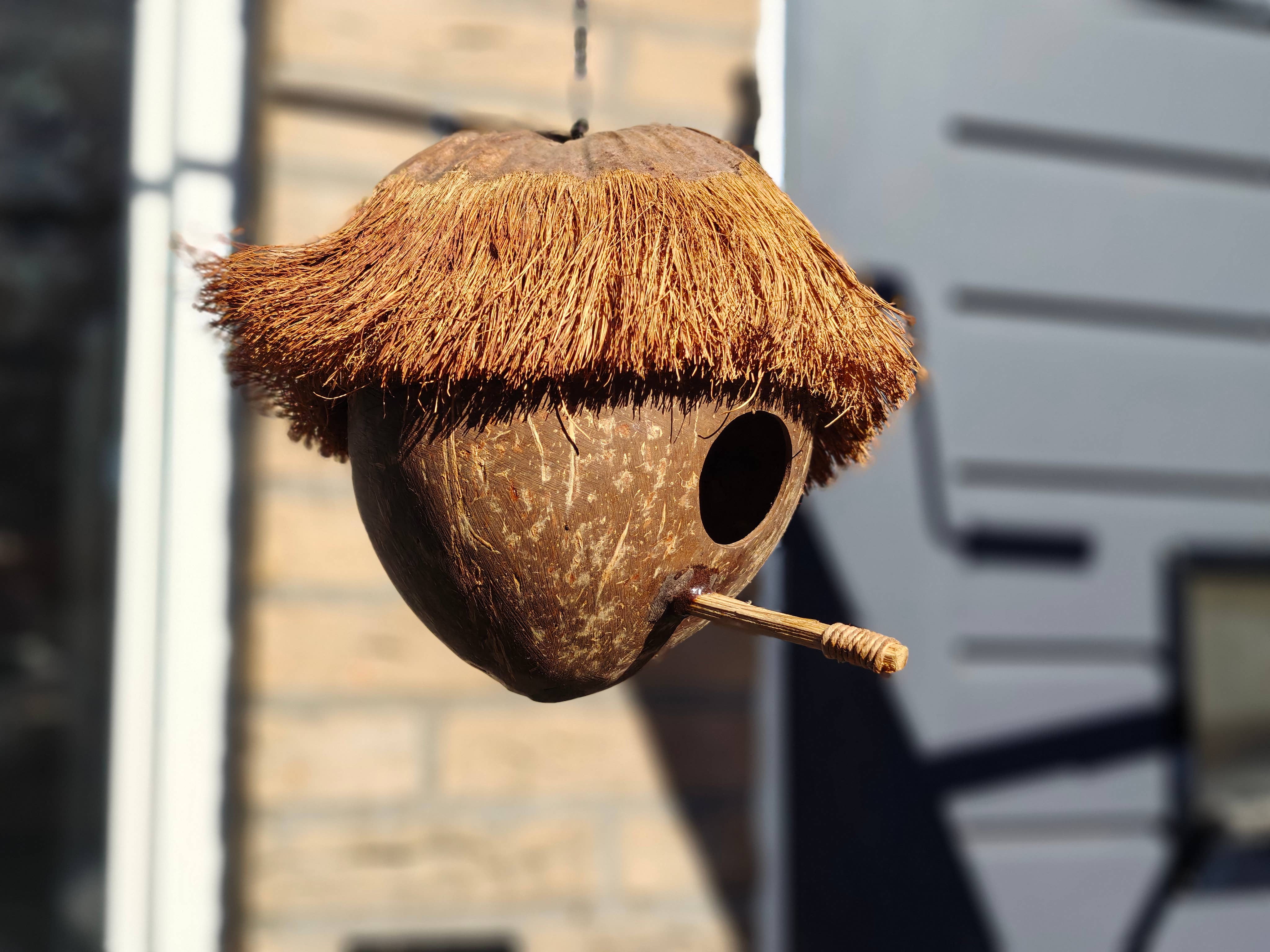 Vogelhuisje - kokosnoot - winter - verblijf - exotisch Hoofdafbeelding