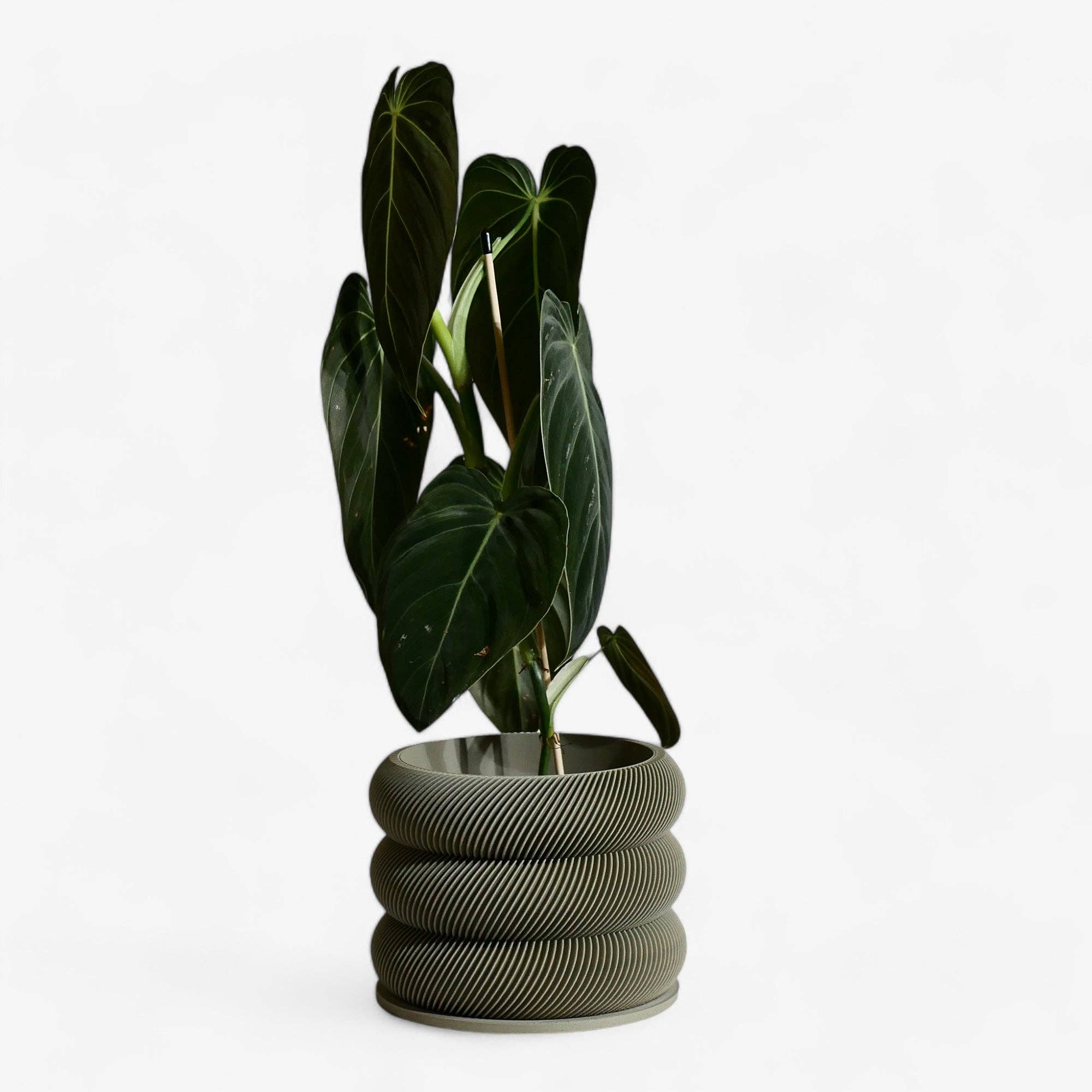 Design houten plantenpot voor binnen 'Bubbles'