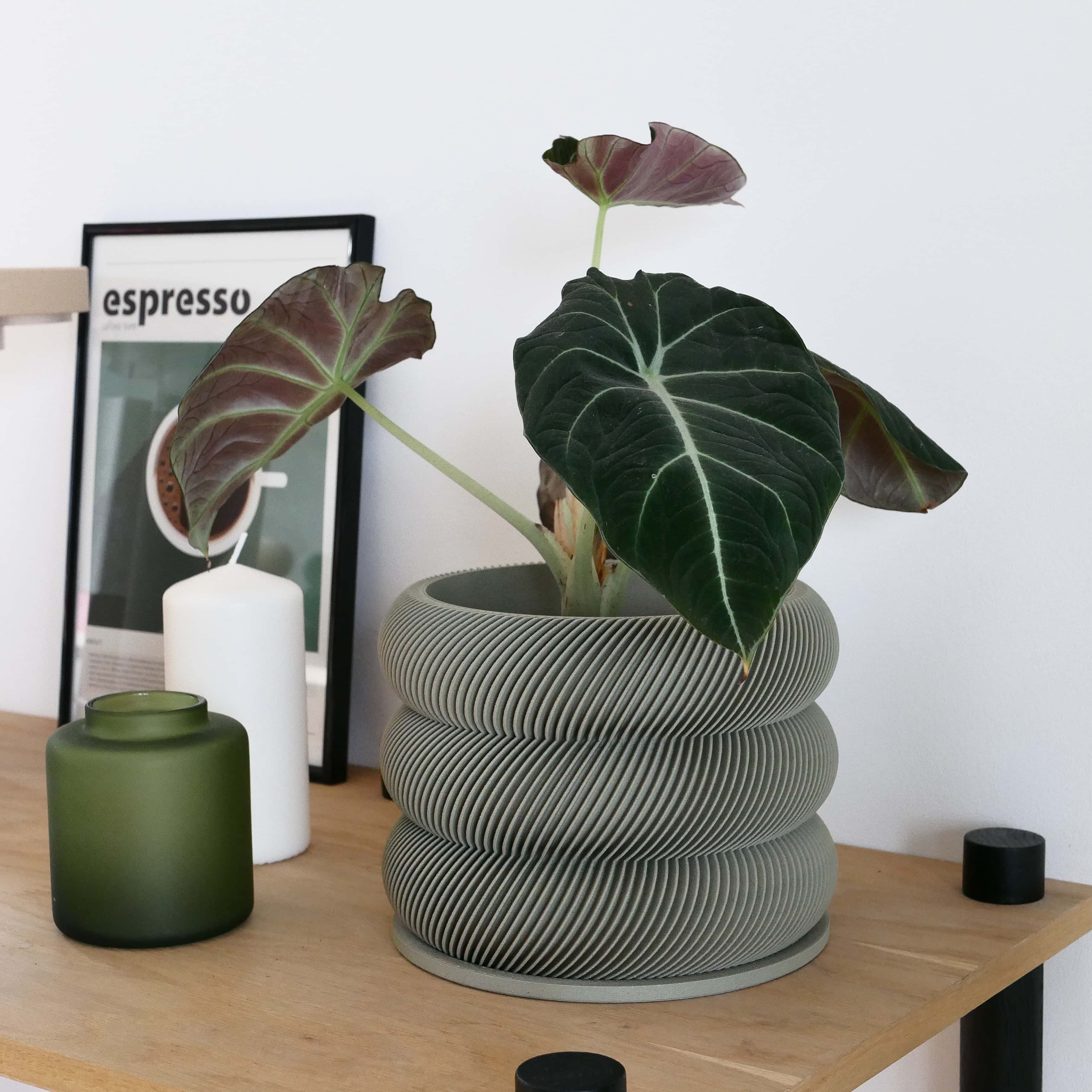 Design houten plantenpot voor binnen 'Bubbles'