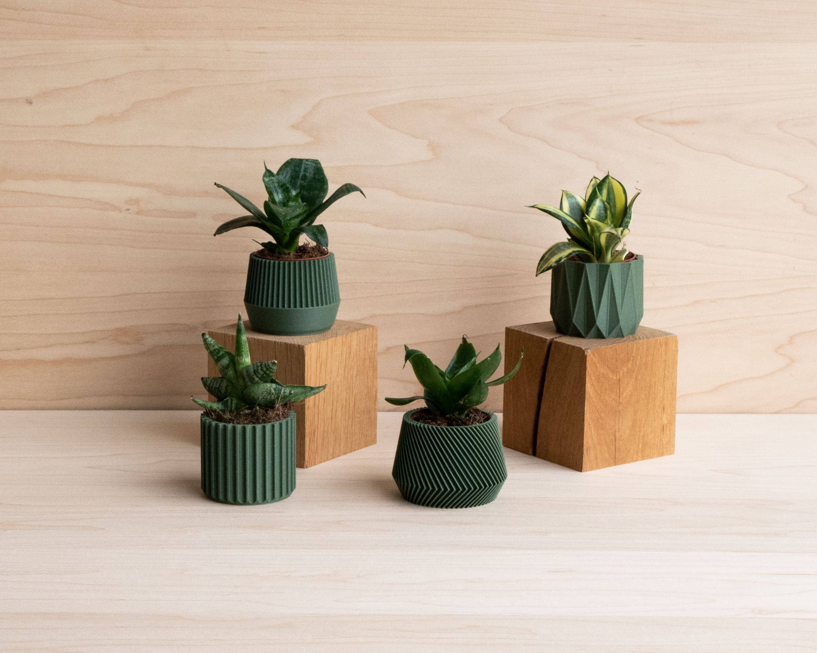 Set van 4 groene kleine binnenpotten – Oslo, Origami, Kobe, Stockholm