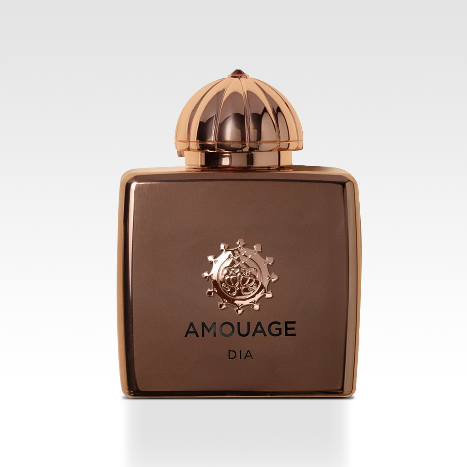 Amouage Dia Woman Eau de Parfum 100ml Hoofdafbeelding