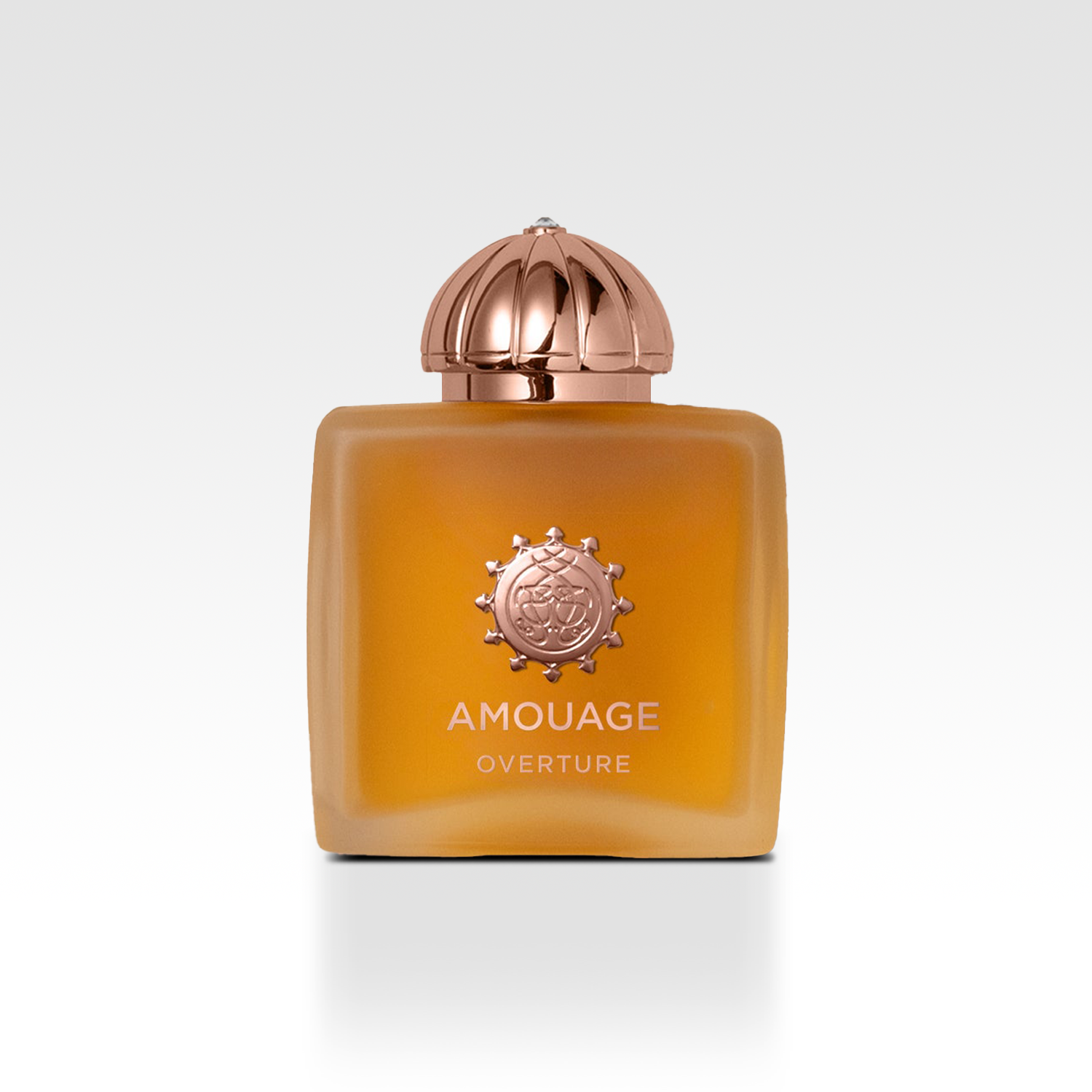Amouage EDP Overture Women's Perfume 100ml Hoofdafbeelding