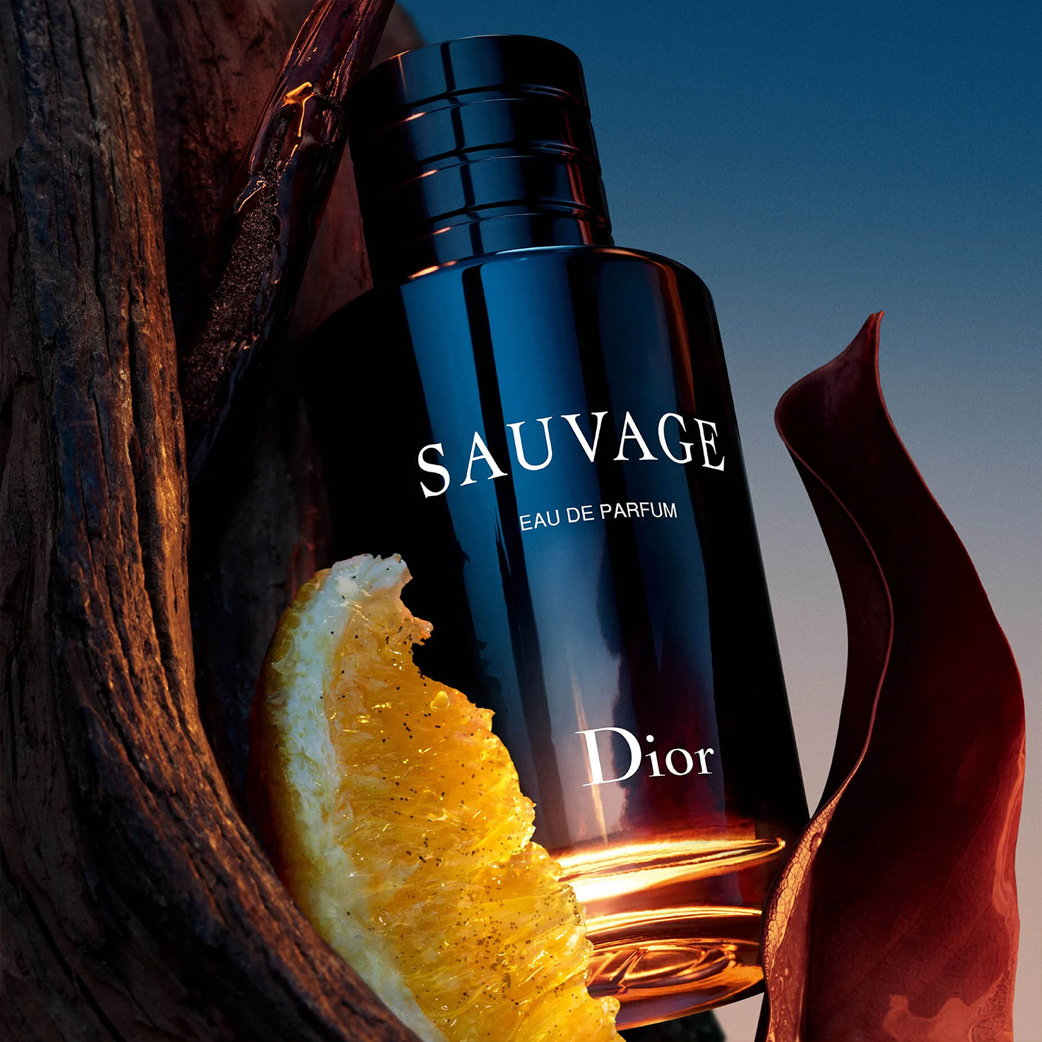 Christian Dior CD Sauvage Men EDP Perfume 100m