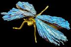 Kyaniet libelle electroplated goud in zwart doosje