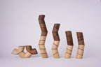 Houten bouwblokken Loggos set L beuk en walnoot