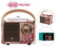 Retro bluetooth speaker Tech Trendz Floral mini draadloos