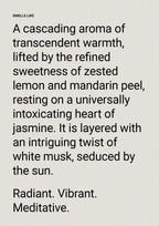 SMITH & CO. Tonka & White Musk Hand & Body Lotion  SMITH & CO.