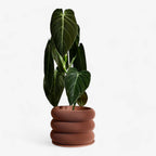 Design houten plantenpot voor binnen 'Bubbles'
