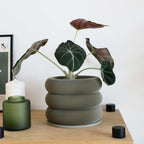 Design houten plantenpot voor binnen 'Bubbles'