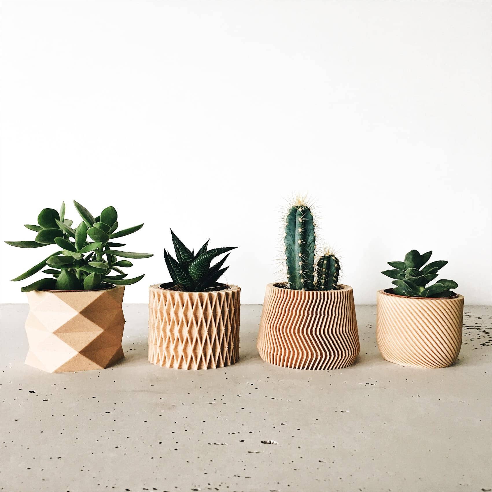 Set van 4 kleine potten - Savane Diamant Croix Corde: Natuurlijk / 5,5 cm Secundaire afbeelding