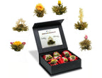 Theebloemen Witte Thee Creano (6 stuks) in Magnetische Geschenkdoos
