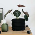 Design houten plantenpot voor binnen 'Bubbles'