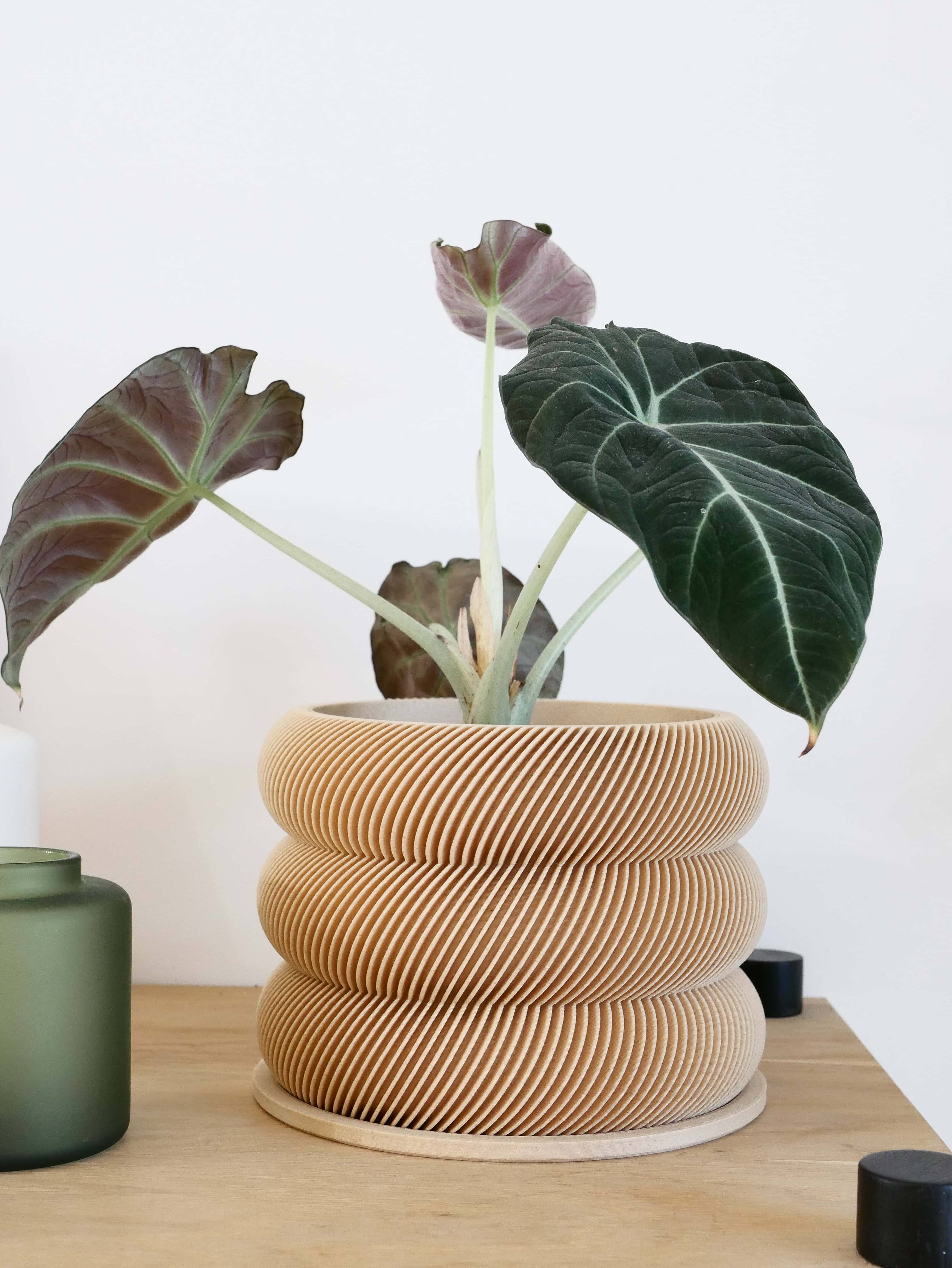 Design houten plantenpot voor binnen 'Bubbles'