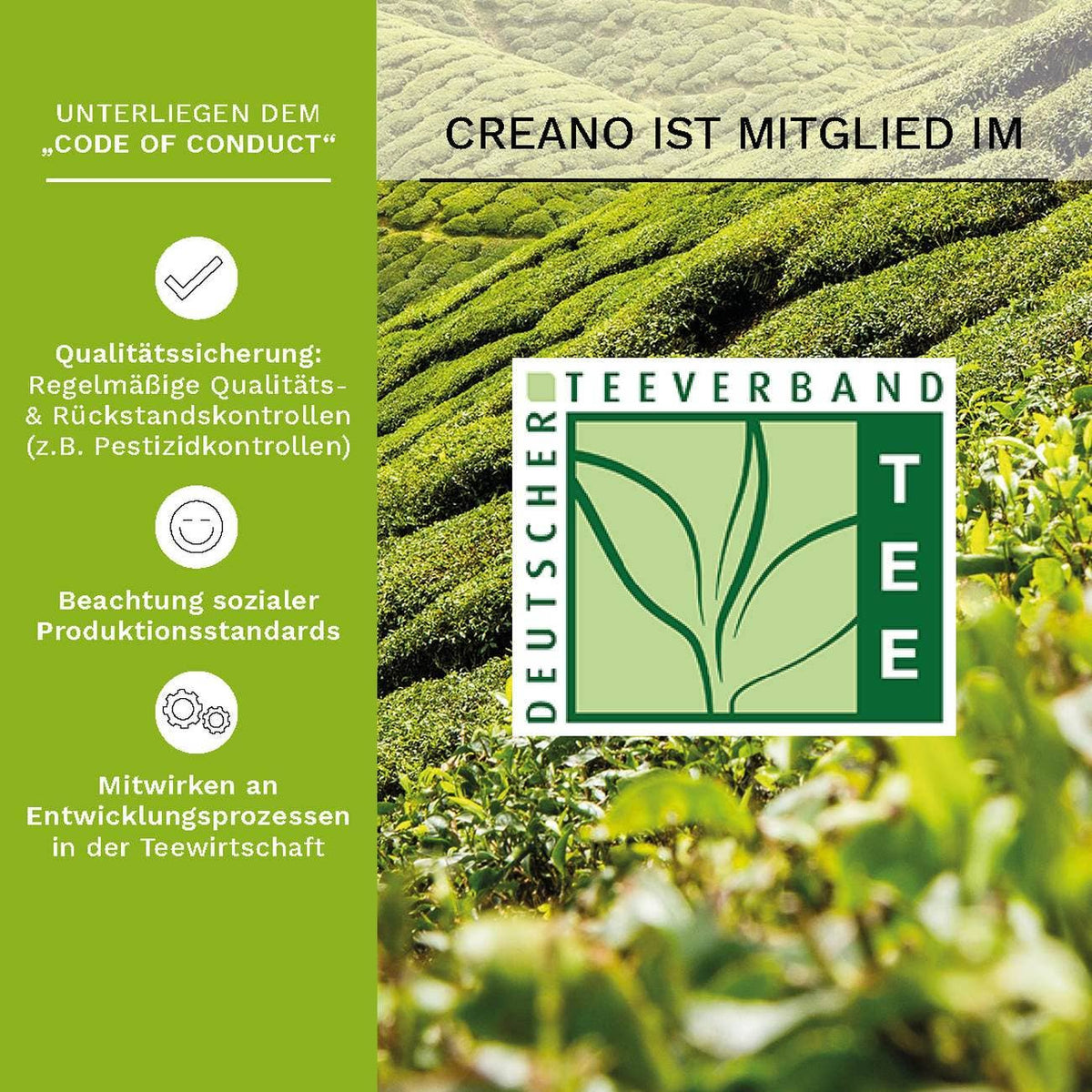 6 Theebloemen Groene Thee Creano in Hartvormige Houten Doos