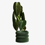 Design houten plantenpot voor binnen 'Bubbles'