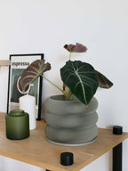 Design houten plantenpot voor binnen 'Bubbles'
