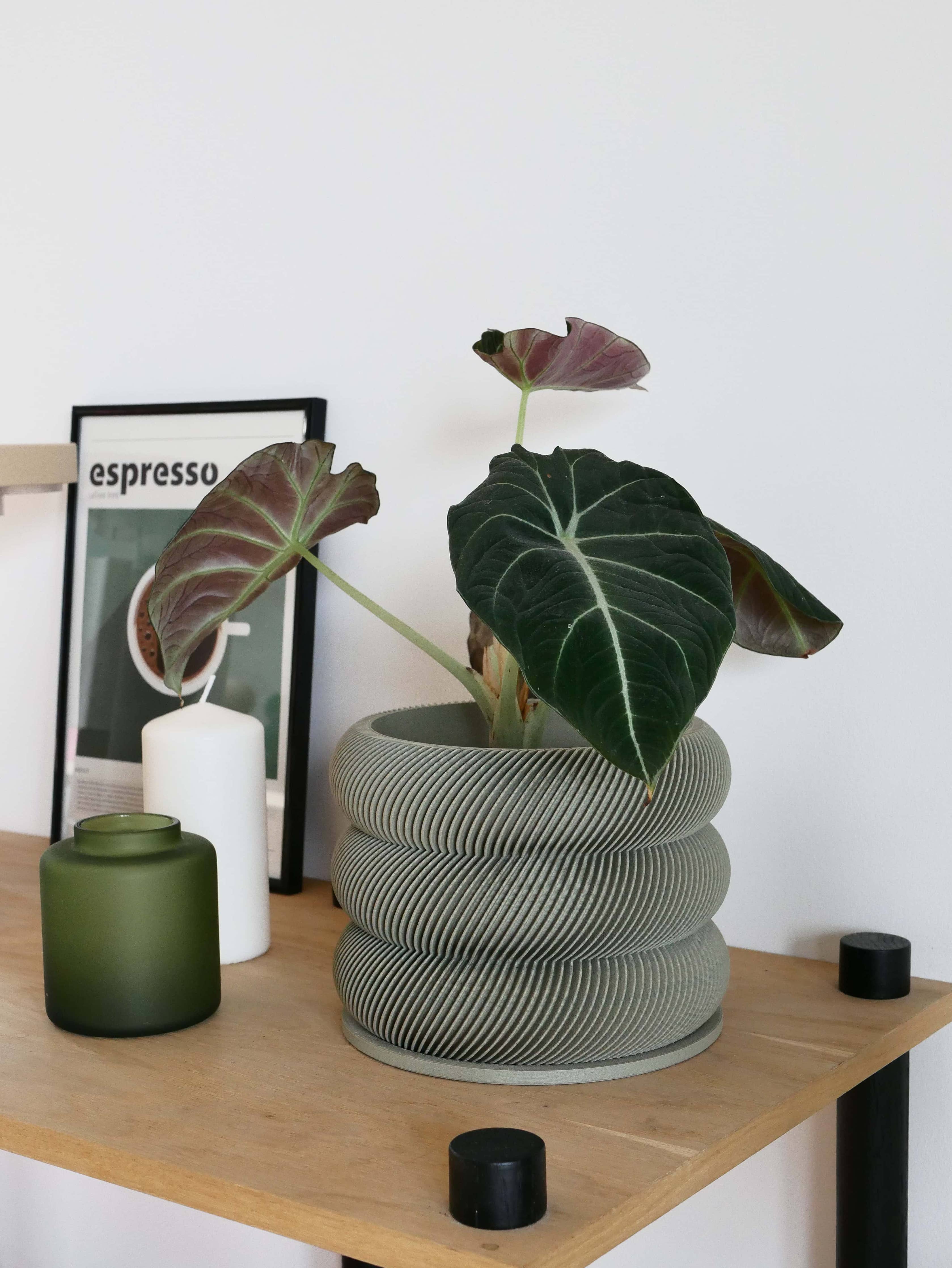 Design houten plantenpot voor binnen 'Bubbles'