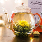 Theebloemen Geschenkset Creano in Houten Theedoos (12 stuks)