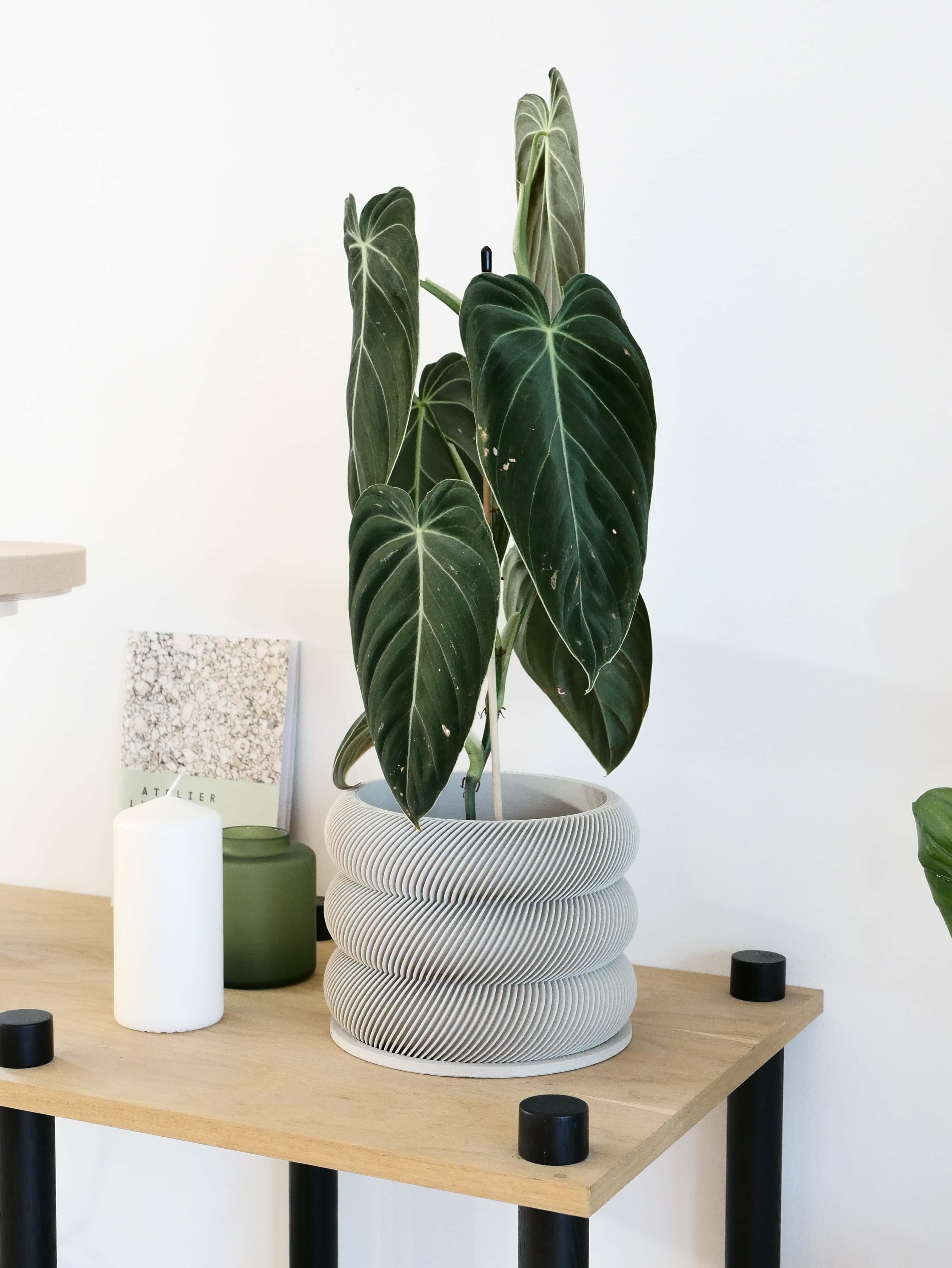 Design houten plantenpot voor binnen 'Bubbles'