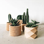 Set van 4 geometrische bloempotjes