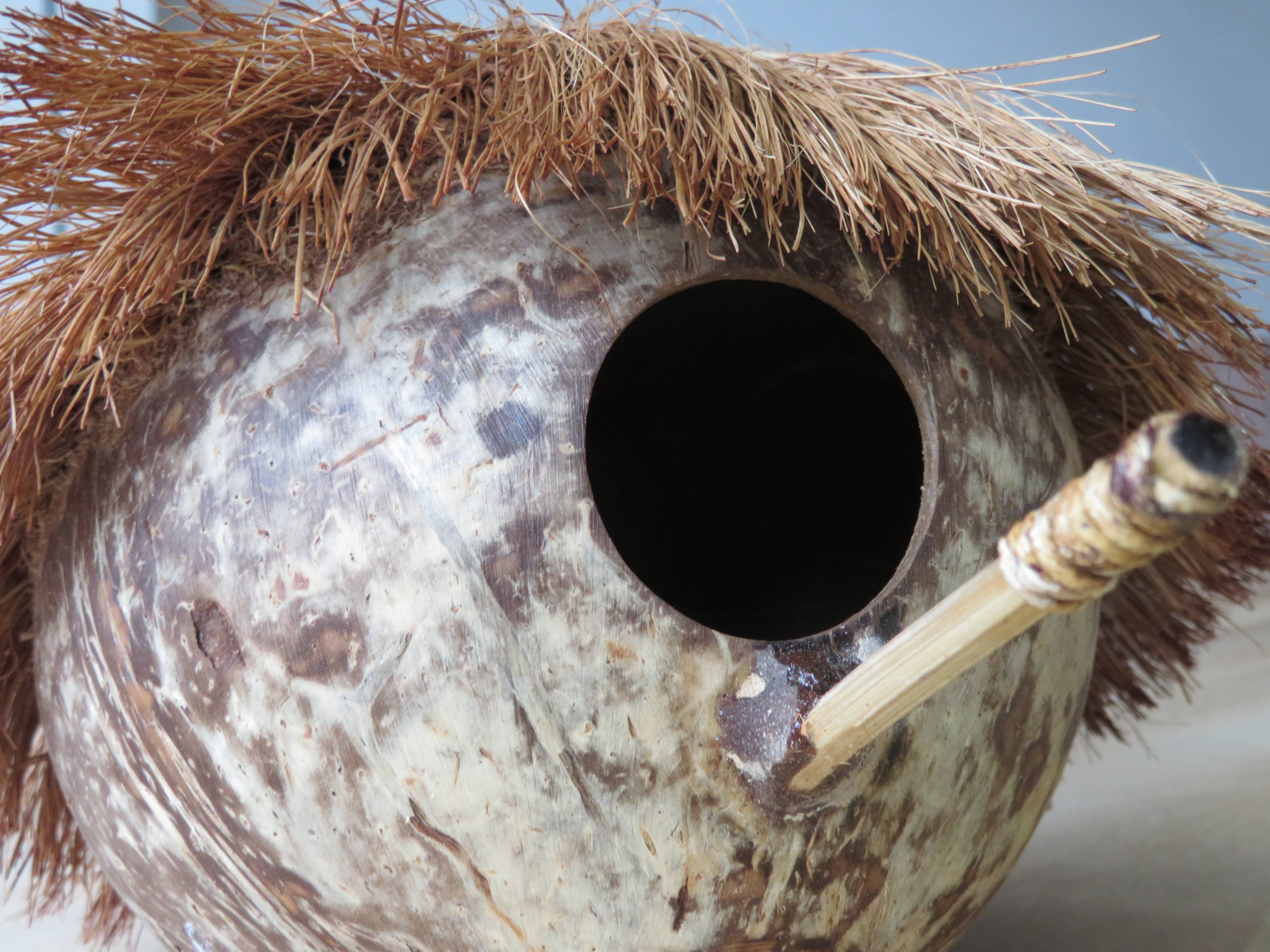 Vogelhuisje - kokosnoot - winter - verblijf - exotisch Secundaire afbeelding