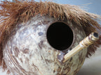 Vogelhuisje - kokosnoot - winter - verblijf - exotisch