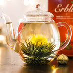 Theebloemen Witte Thee Creano (6 stuks) in Magnetische Geschenkdoos