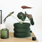 Design houten plantenpot voor binnen 'Bubbles'