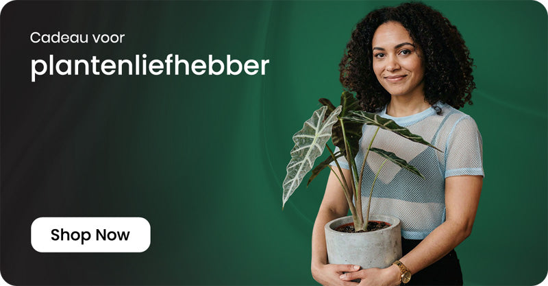 plantenliefhebber