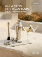 Cocktail Shaker Set + 2 Martiniglazen